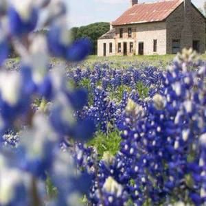 Meet your Posher, Marsha